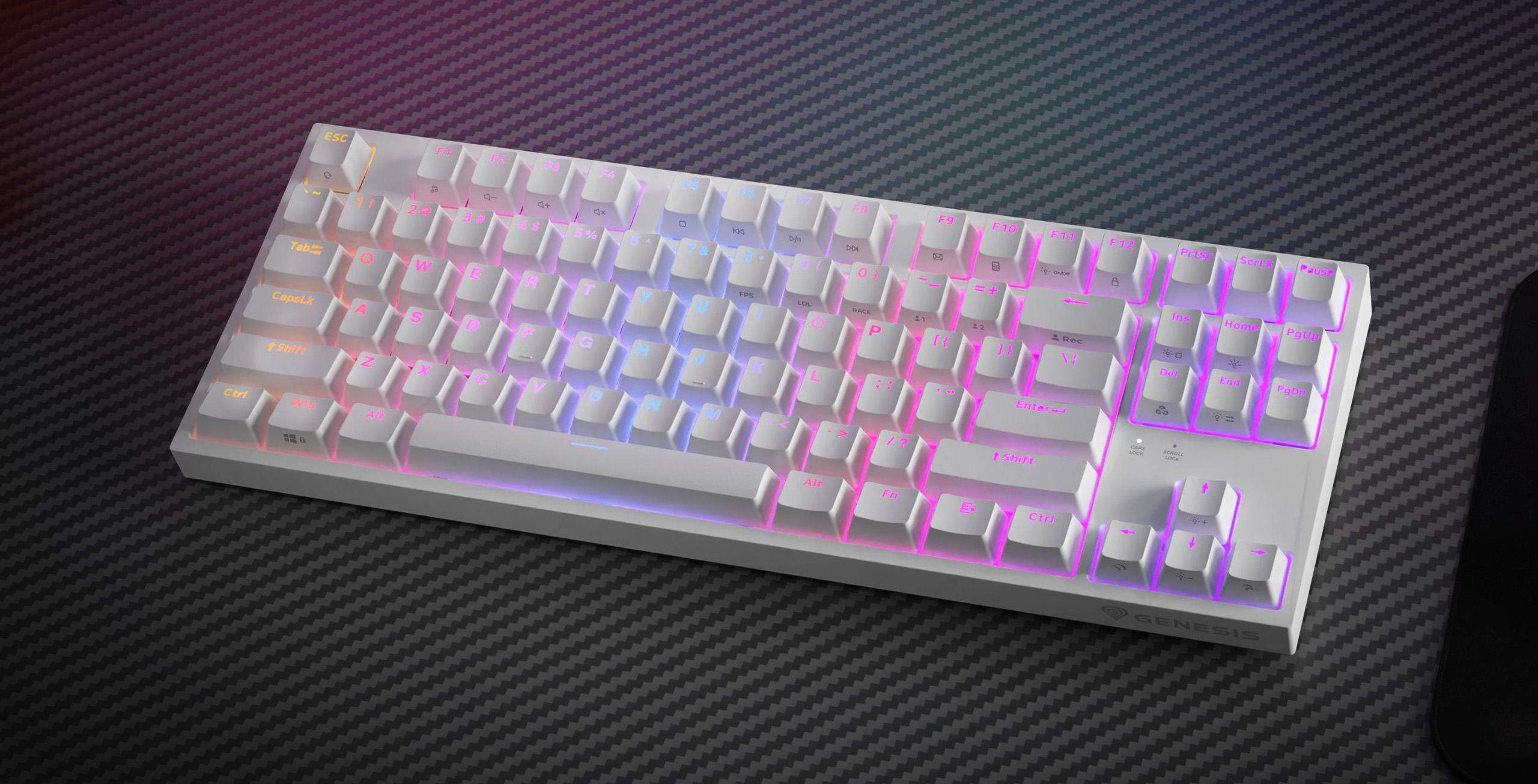 genesis thor 404 tkl