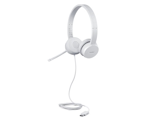 lenovo usb headset 110 stereo