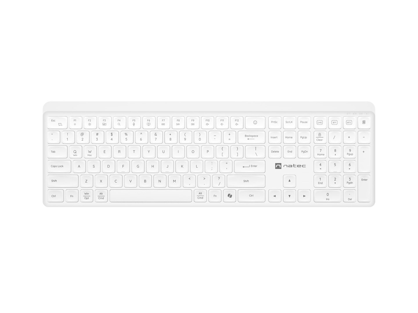 natec tang us wireless keyboard bt 2 4 ghz quiet slim white